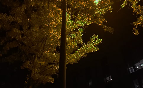 ���ε��������Z����ժ�48�l