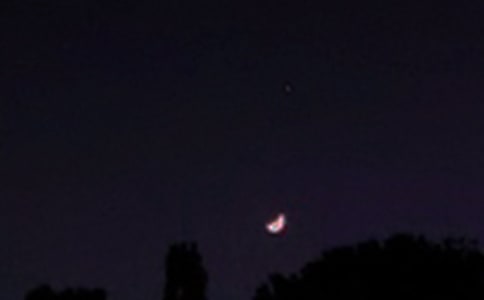 �����̾�Ƀ�