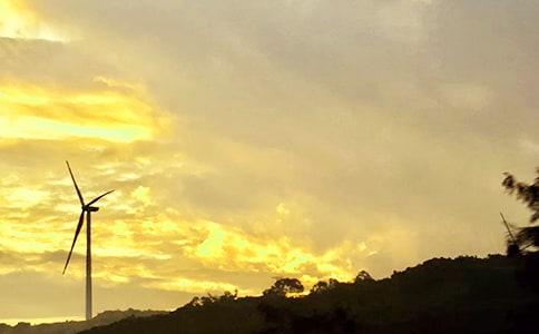 溫馨的午安心語(yǔ)短信合集88句