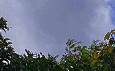 2026年優(yōu)美的午安問(wèn)候語(yǔ)短信大集合73句