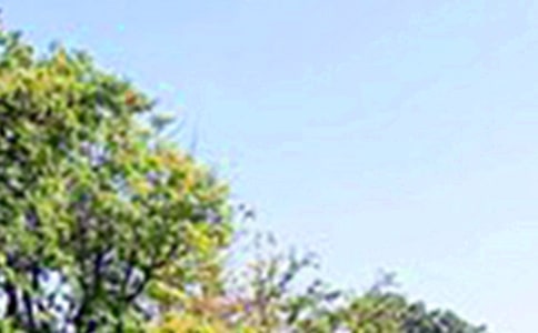 ��ܰ���簲���Z���ŅR��44�l