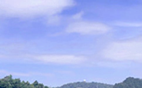 2026年優(yōu)美的午安問(wèn)候語(yǔ)短信大匯總88條