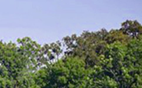 ��(j��ng)���ܰ�簲���Ŵ�ȫ��ͨ��100�䣩