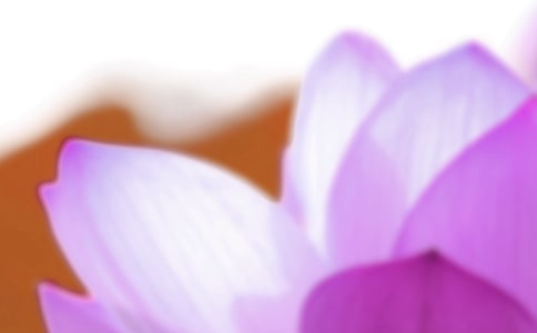 關(guān)于夏至的含義和風(fēng)俗是什么