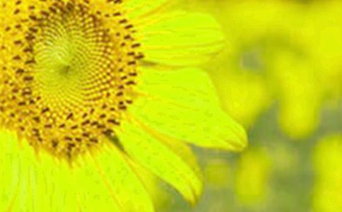 �����տ������ġ����T��