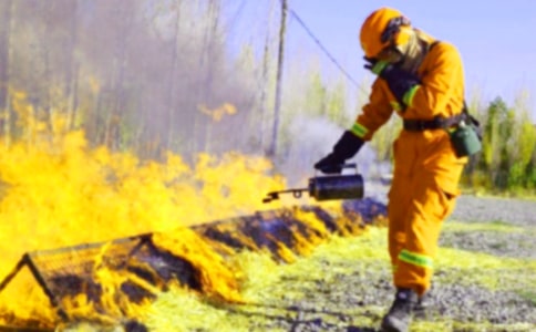 ���^�������(du��)����(��(y��u))