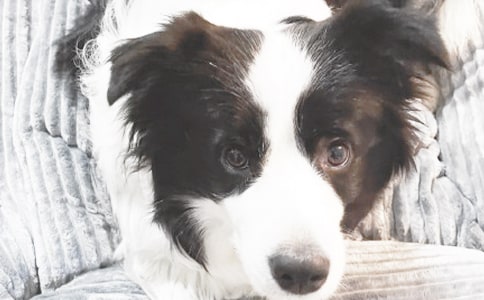 ����С�����D��Ԓ���꼉