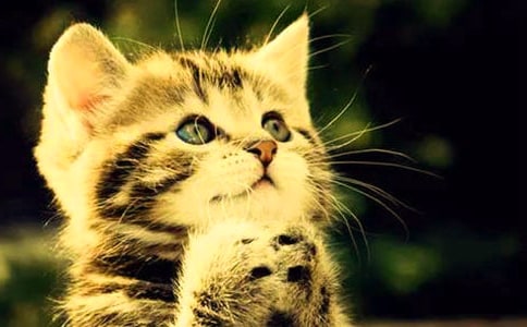 ���P(gu��n)С؈С�W(xu��)����400���\��7ƪ