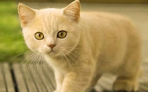 �P(gu��n)��С؈С�W(xu��)����400����ƪ