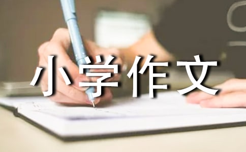 【精品】樹葉小學(xué)作文400字3篇