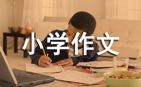 【精選】小學作文600字5篇