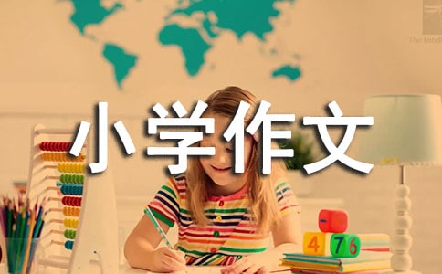 小學(xué)作文:老鷹捉小雞15篇