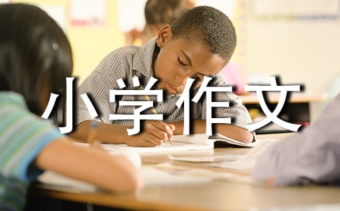 (實(shí)用)小學(xué)作文600字
