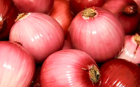 ���[�^�v�U(xi��n)ӛ�x���