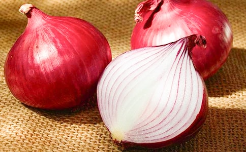 《洋蔥頭歷險(xiǎn)記》讀后感15篇