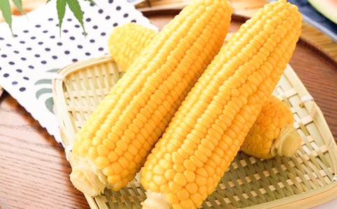 ����������[����]