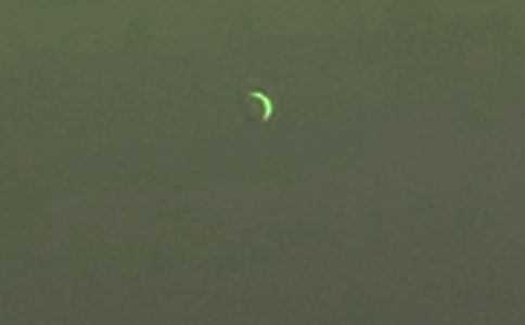 �����c����ʿ�x��м��\15ƪ