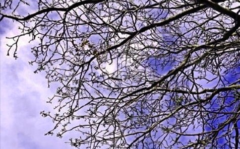 ��(j��ng)�����õ��簲ף���Z(y��)���ż��\63�l