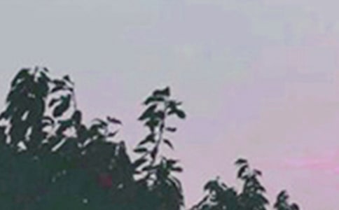 ����(sh��)�á�2023�����õ��簲ף���Z���Ŵ󼯺�50��