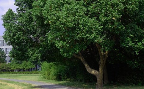 ���̵����õ��簲ף���Z����30�l