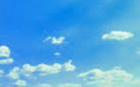 ���T�������簲�f�f�����x110�䣩