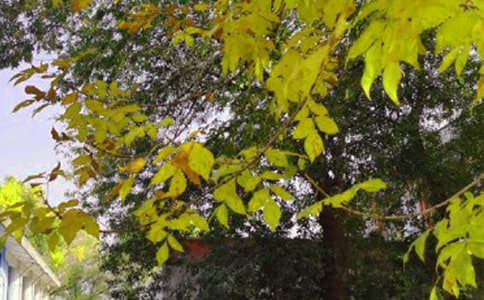 2026年實用的動人的早安心語短信摘錄42條