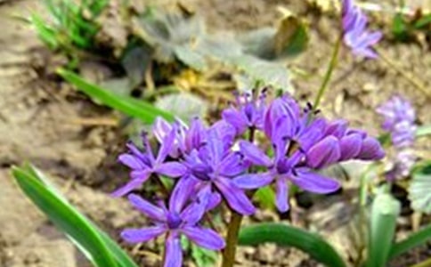 Ψ�����簲���Z(y��)����