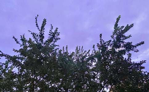 ���̵����õ��簲����