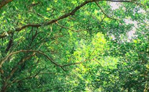 2020年簡(jiǎn)單的美好的早安祝福語(yǔ)短信20句