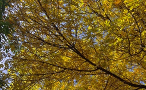 ��(ji��n)�̵����õ��簲ף���Z����21�l