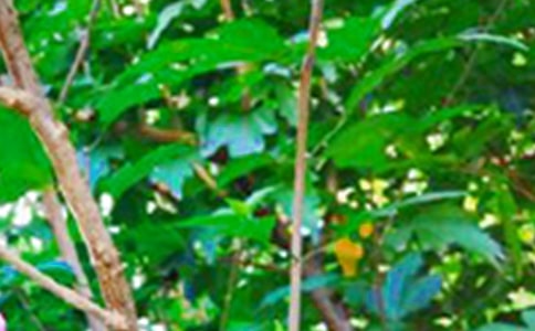 ��(ji��n)�������õ��簲ף���Z(y��)���ŅR��49��