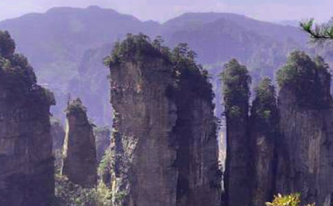 張家界之旅作文15篇(優(yōu)秀)