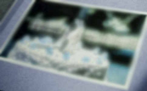 照片里的故事優(yōu)秀作文15篇