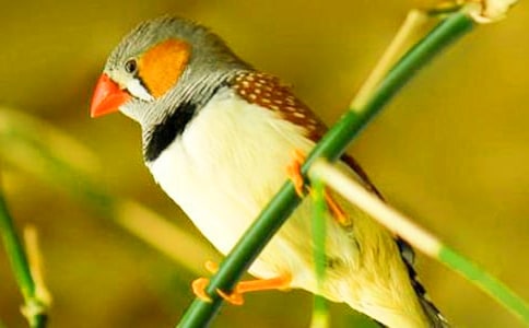 �����B�x���