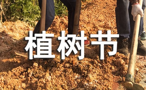 ֲ��(sh��)��(ji��)�������