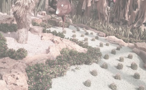 游植物園作文550字