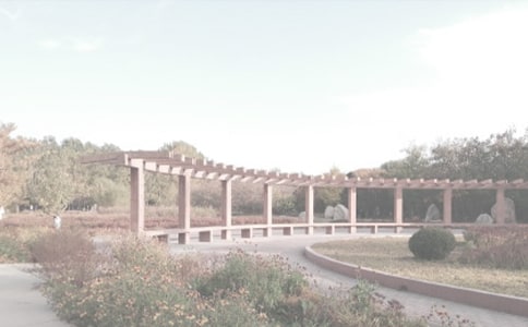 ���꼉(j��)���ģ��Ґ�(��i)���l(xi��ng)��ֲ��@