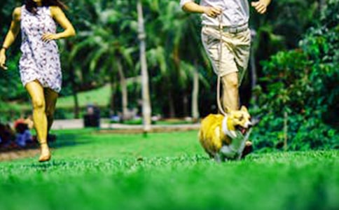 ������ĩ���źϼ�15ƪ