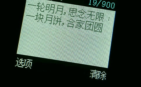 51ף������