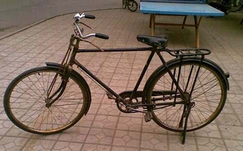 學(xué)騎自行車作文450字