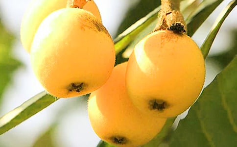 ����(y��u)�㣩������������