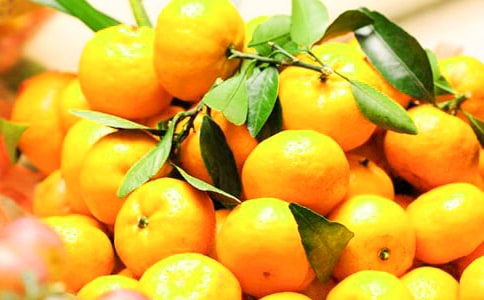 ���ӵ�����(���x)