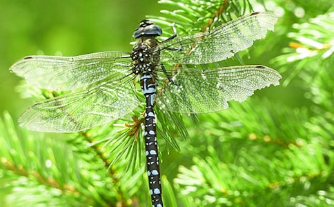 ���o(h��)���ѵ�����(��(y��u)��)