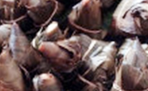 實用的粽子作文600字【優(yōu)秀】