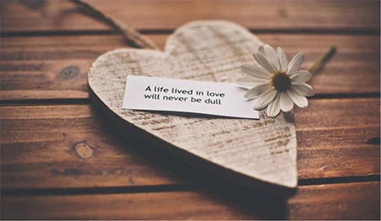 ��(��i)������f(shu��)�f(shu��)