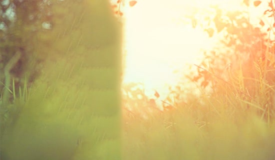 �����]��2021�꽛��Ψ���ľ����\��78��