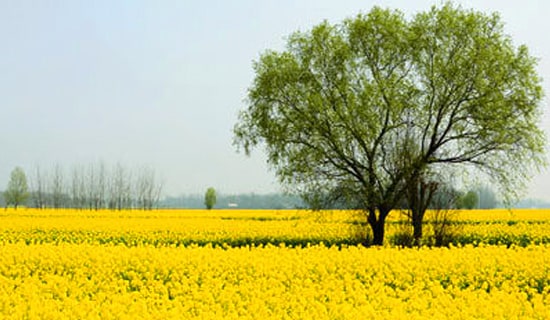 ���κ���w��