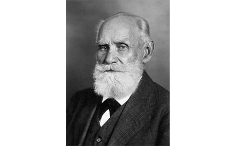 《巴甫洛夫很忙》教學(xué)設(shè)計(jì)