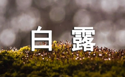 白露秋分各什么意思