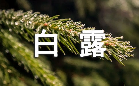 有關(guān)于白露的諺語